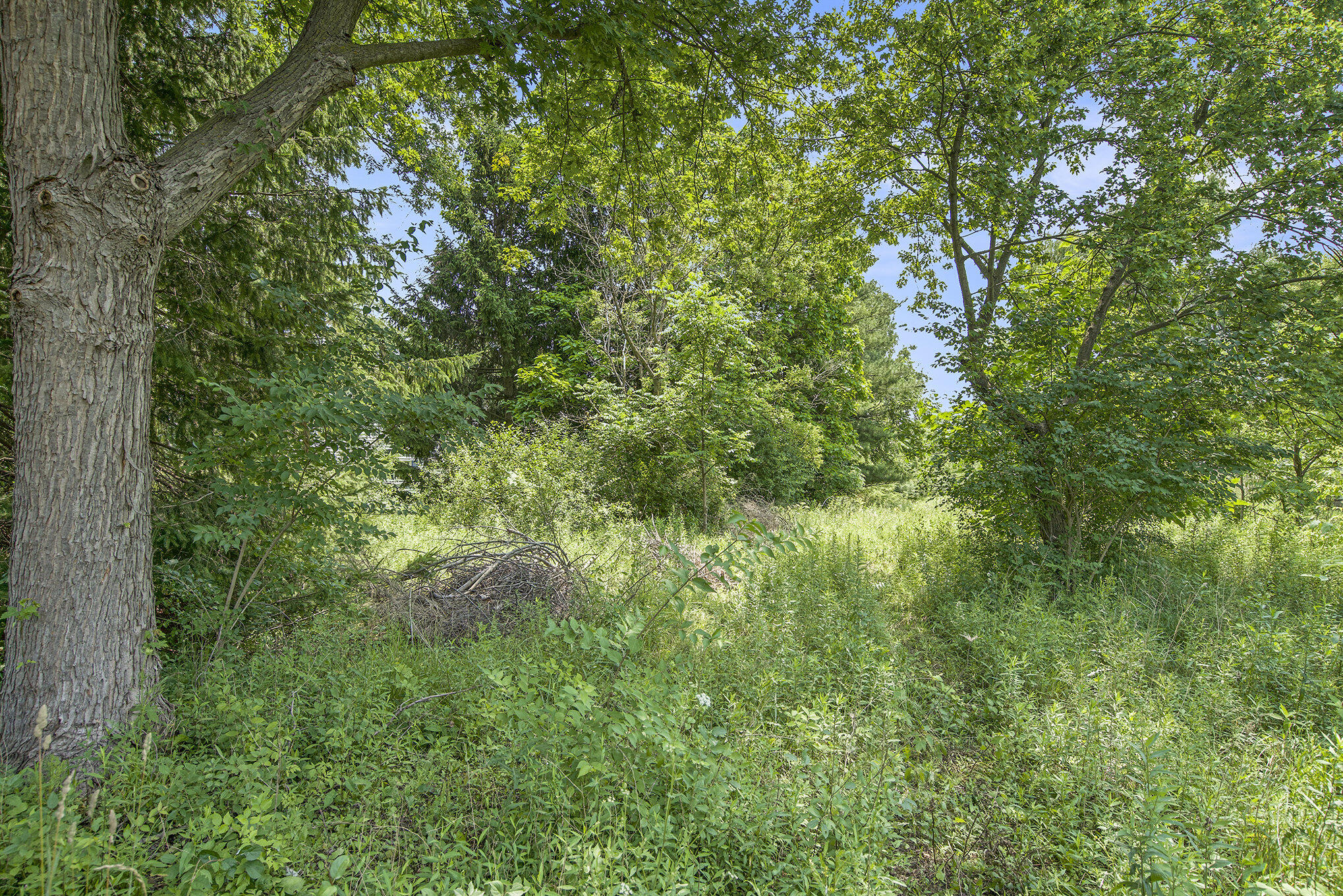 1688 Warren Road Ann Arbor, MI 48105 - Photo 10 of 23 014_dsc05028