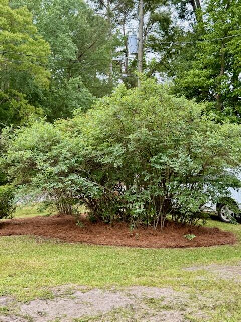 2986 State Rd S-10-1673 North Charleston, SC 29406 - Photo 32 of 42 image13
