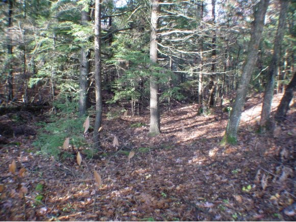 Turkey Hill Road Newport, NH 03773 - Photo 1 of 1
