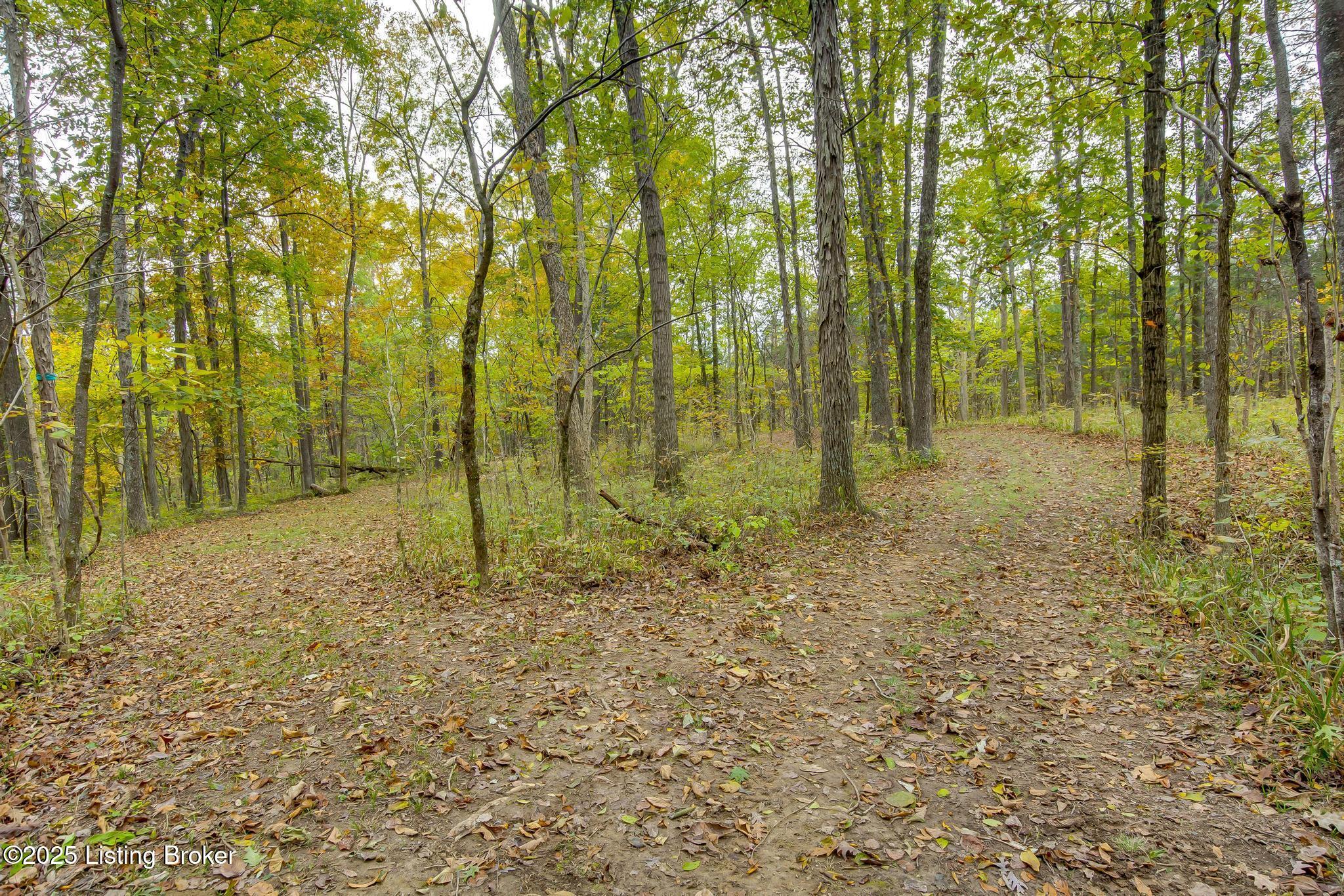 Lot 8 Bray Ridge Road Bedford, KY 40006 - Photo 33 of 46 BrayRidgeRd_763