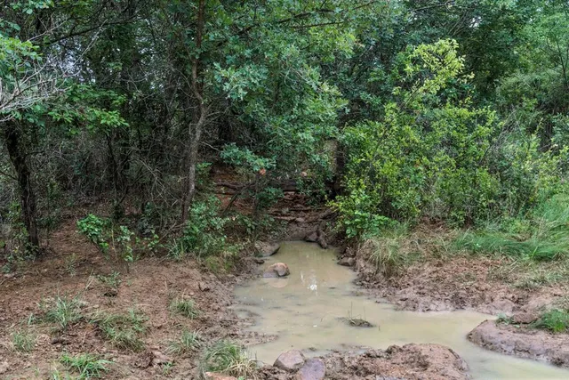 a yellow house with trees in the background
