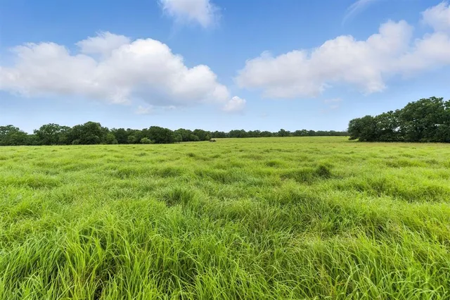 a view of a big yard with lots of green space