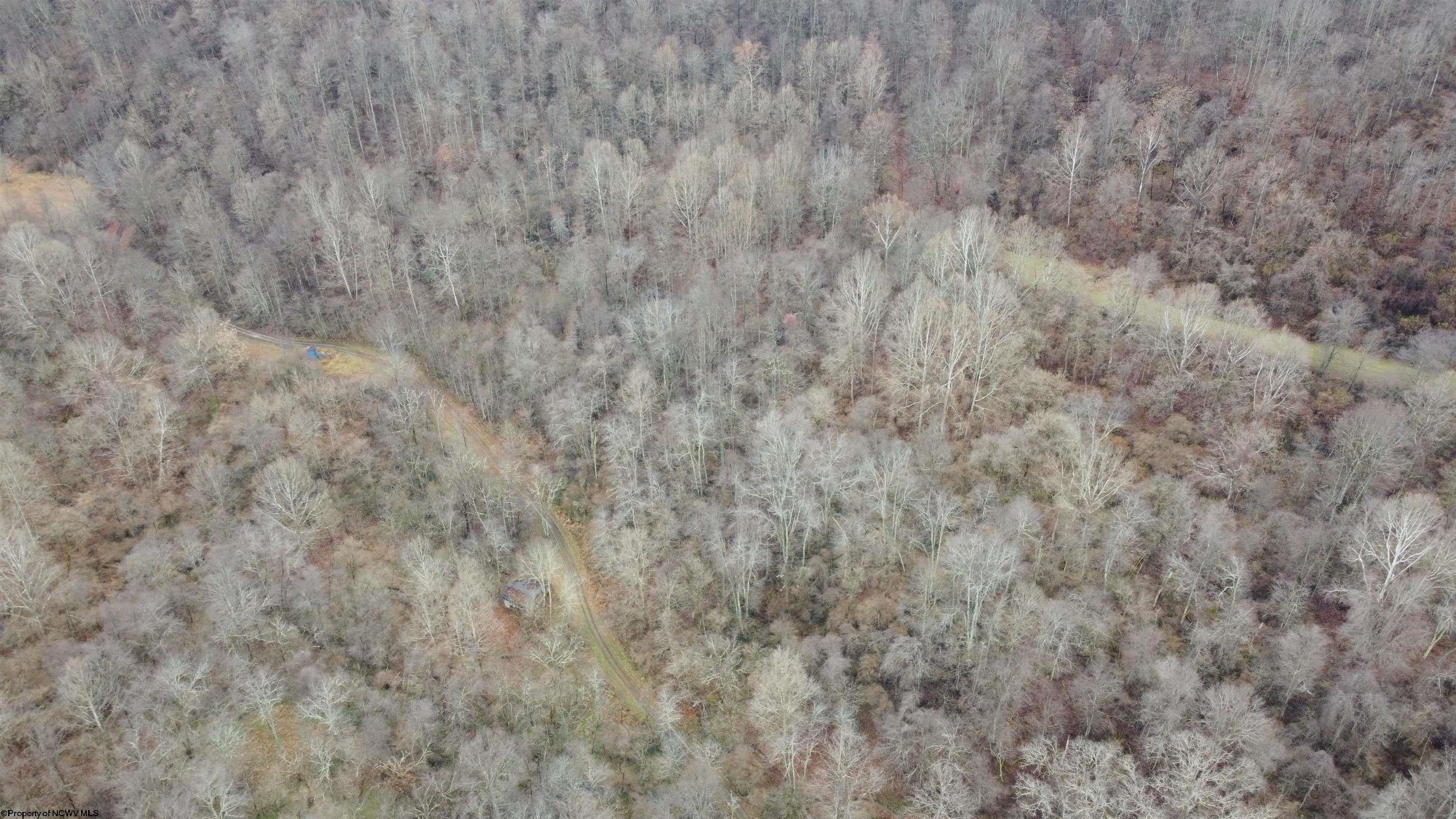 Tbd Darnell Road Weston, WV 26452 - Photo 3 of 18 Gallery Image 3