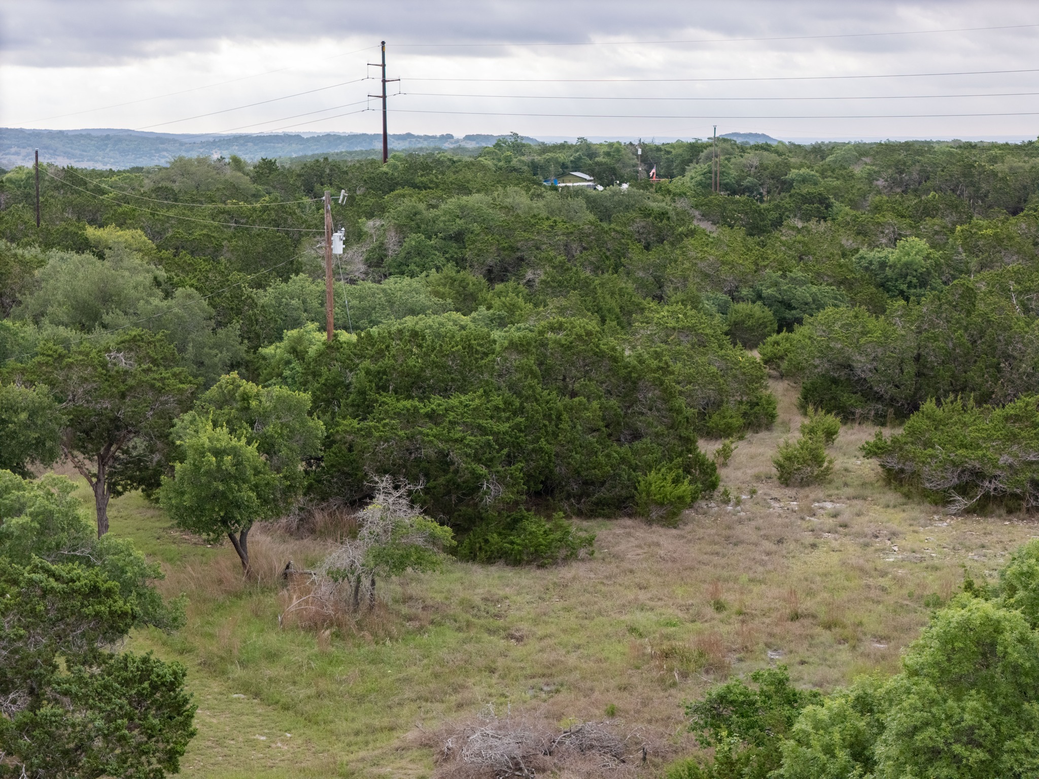 -altwein Rd 17.91 Acres Altwein Road Blanco, TX 78606 - Photo 20 of 33 a view of a forest with a street