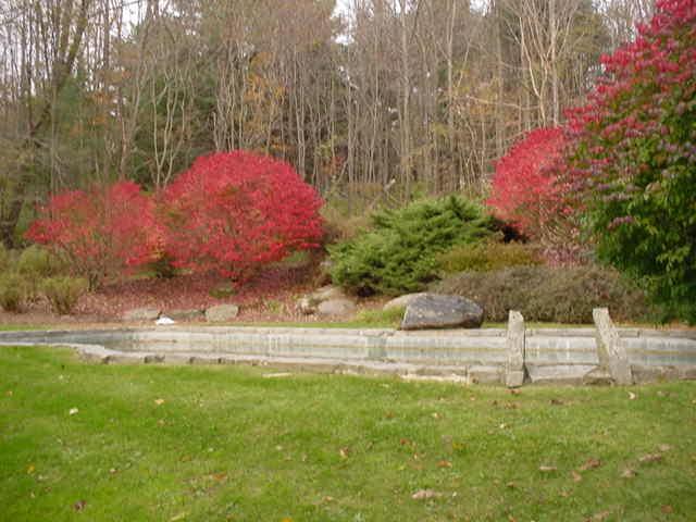 14 Averic Road Stockbridge, MA 01266 - Photo 6 of 16 a view of a yard with an tree