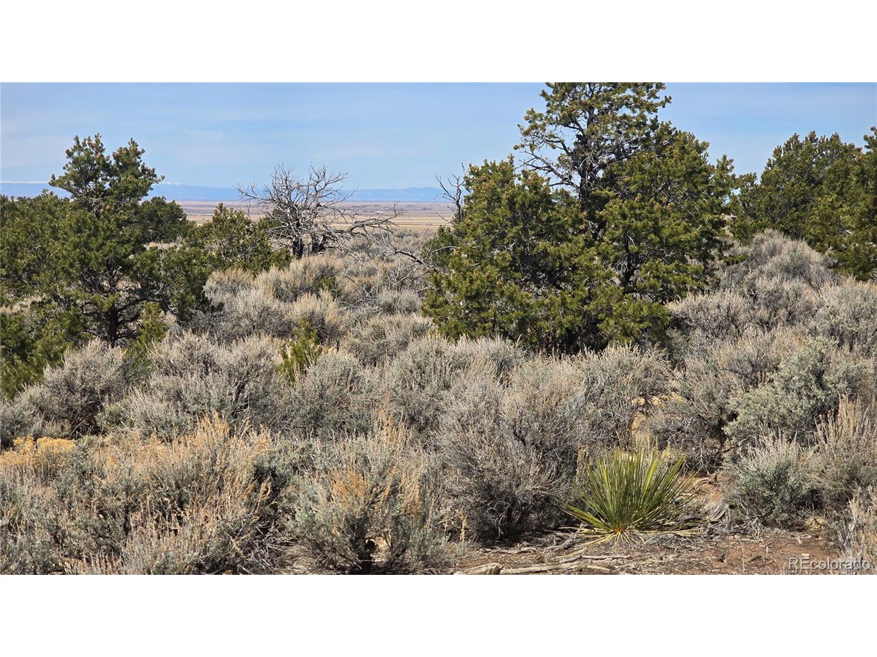 1248 Juarez Road Fort Garland, CO 81133 - Photo 15 of 19 Gallery Image 15