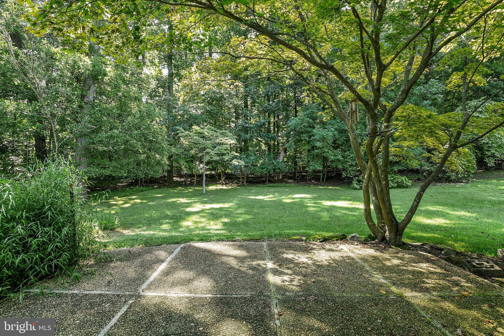 2820 Blue Spruce Lane Silver Spring, MD 20906 - Photo 19 of 50 Gallery Image 19