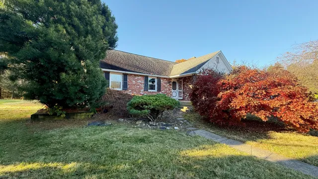 a view of backyard of house