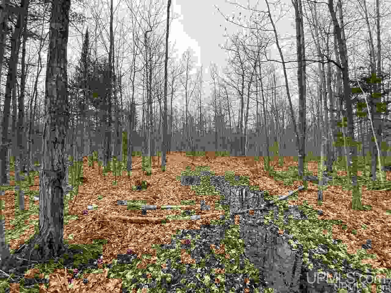 Tbd Plains Cutoff Road Baraga, MI 49908 - Photo 15 of 49