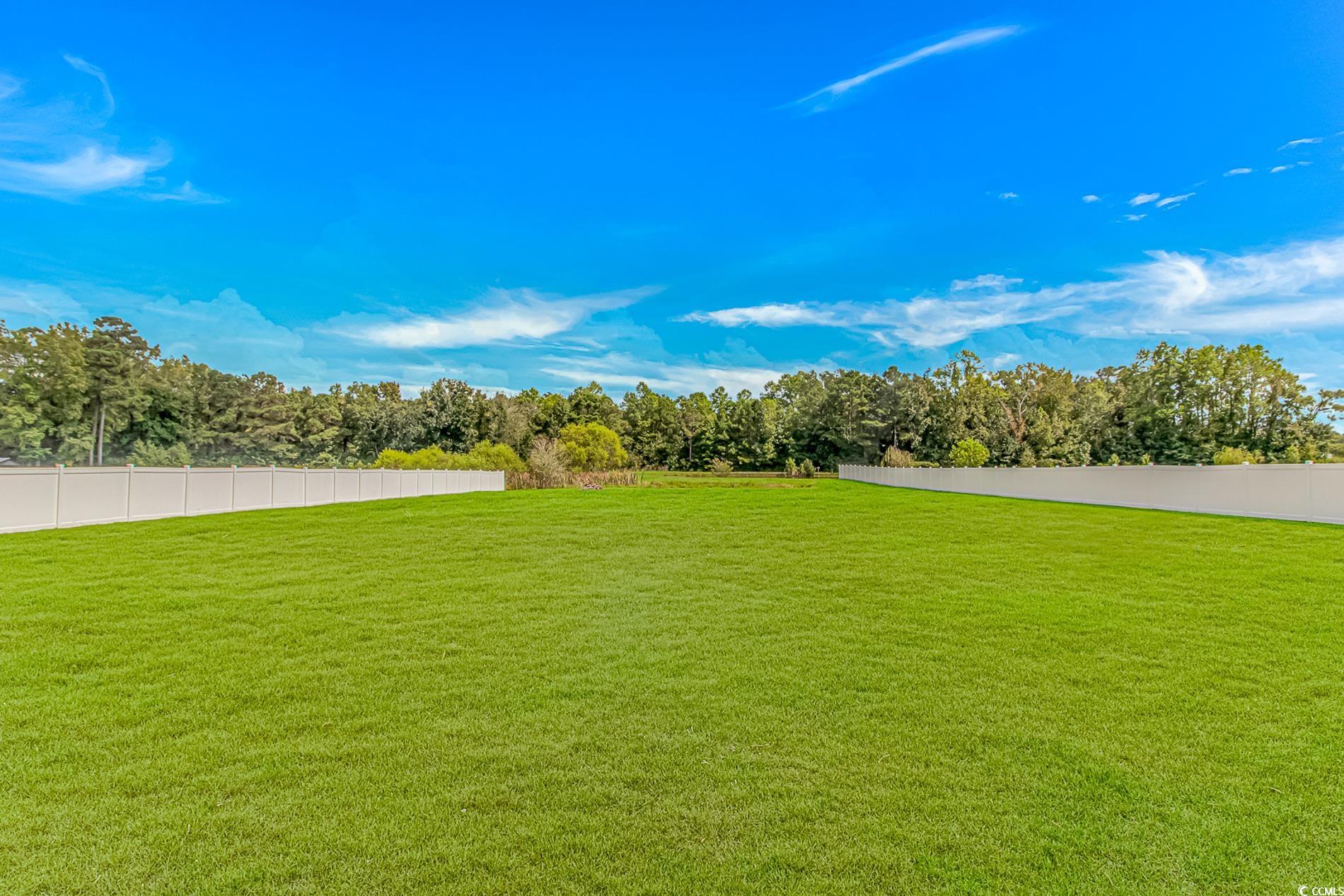 4082 Edwards Road Aynor, SC 29511 - Photo 31 of 40 View of yard