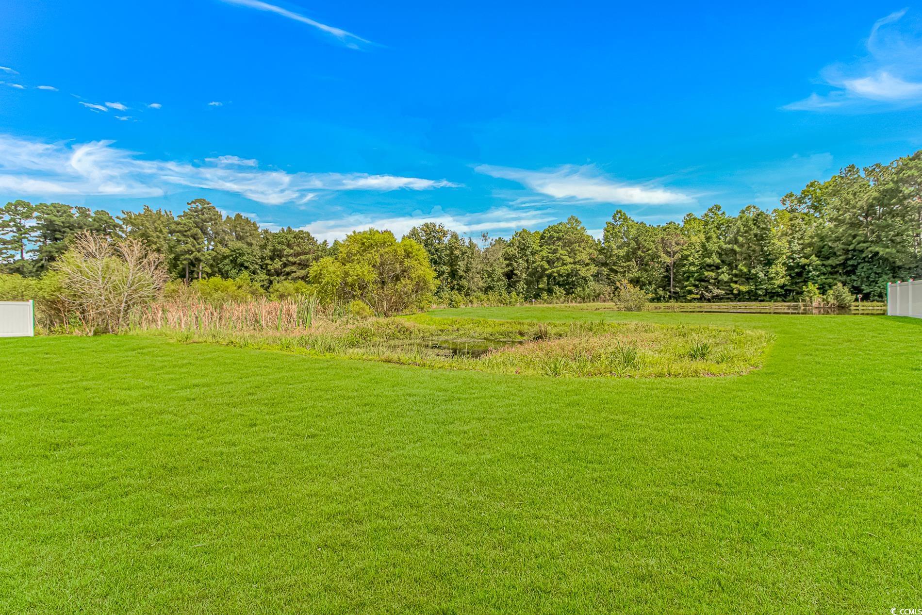 4082 Edwards Road Aynor, SC 29511 - Photo 33 of 40 View of yard