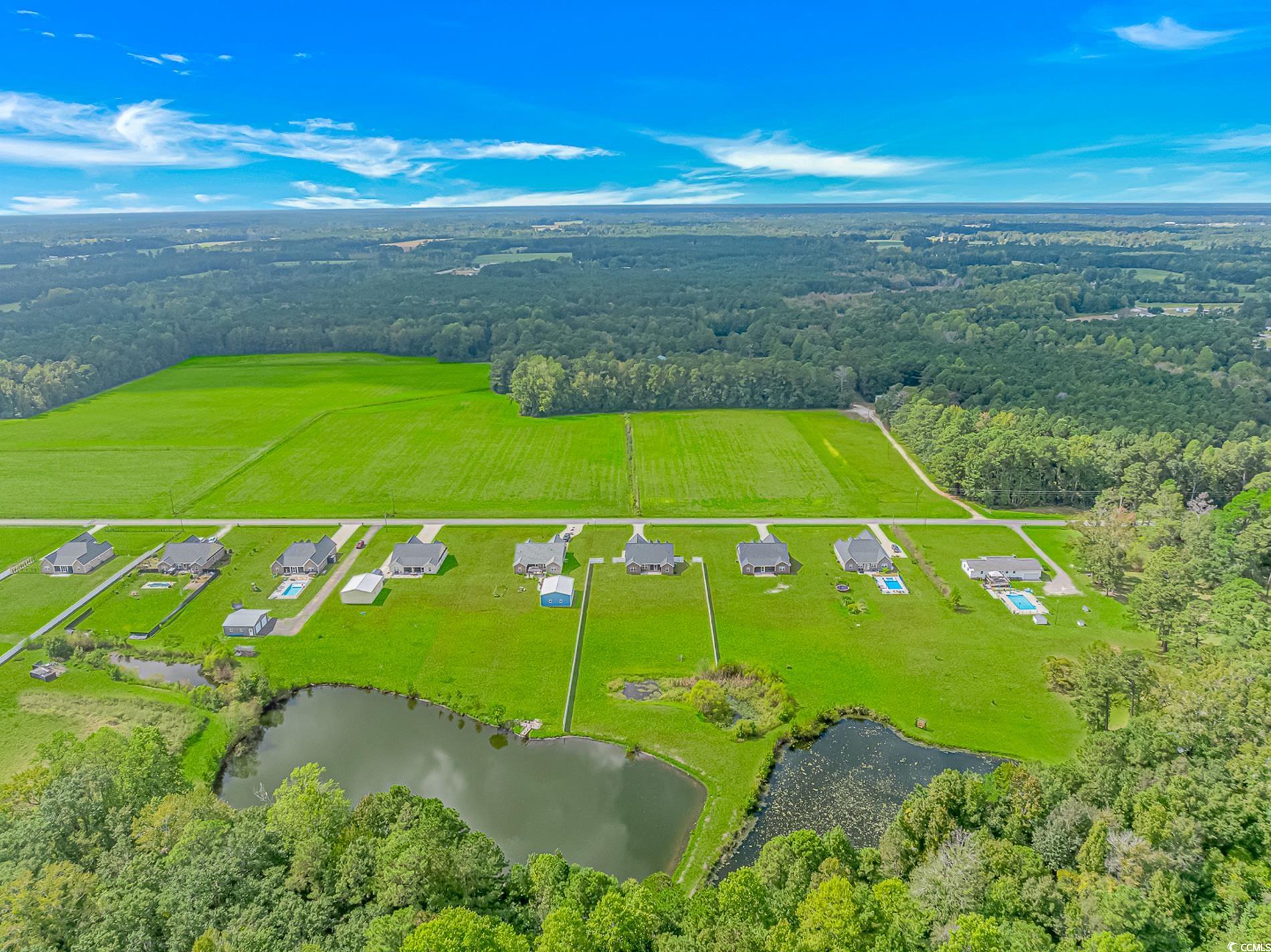 4082 Edwards Road Aynor, SC 29511 - Photo 39 of 40 Aerial view of a heavily wooded area and a large body of water