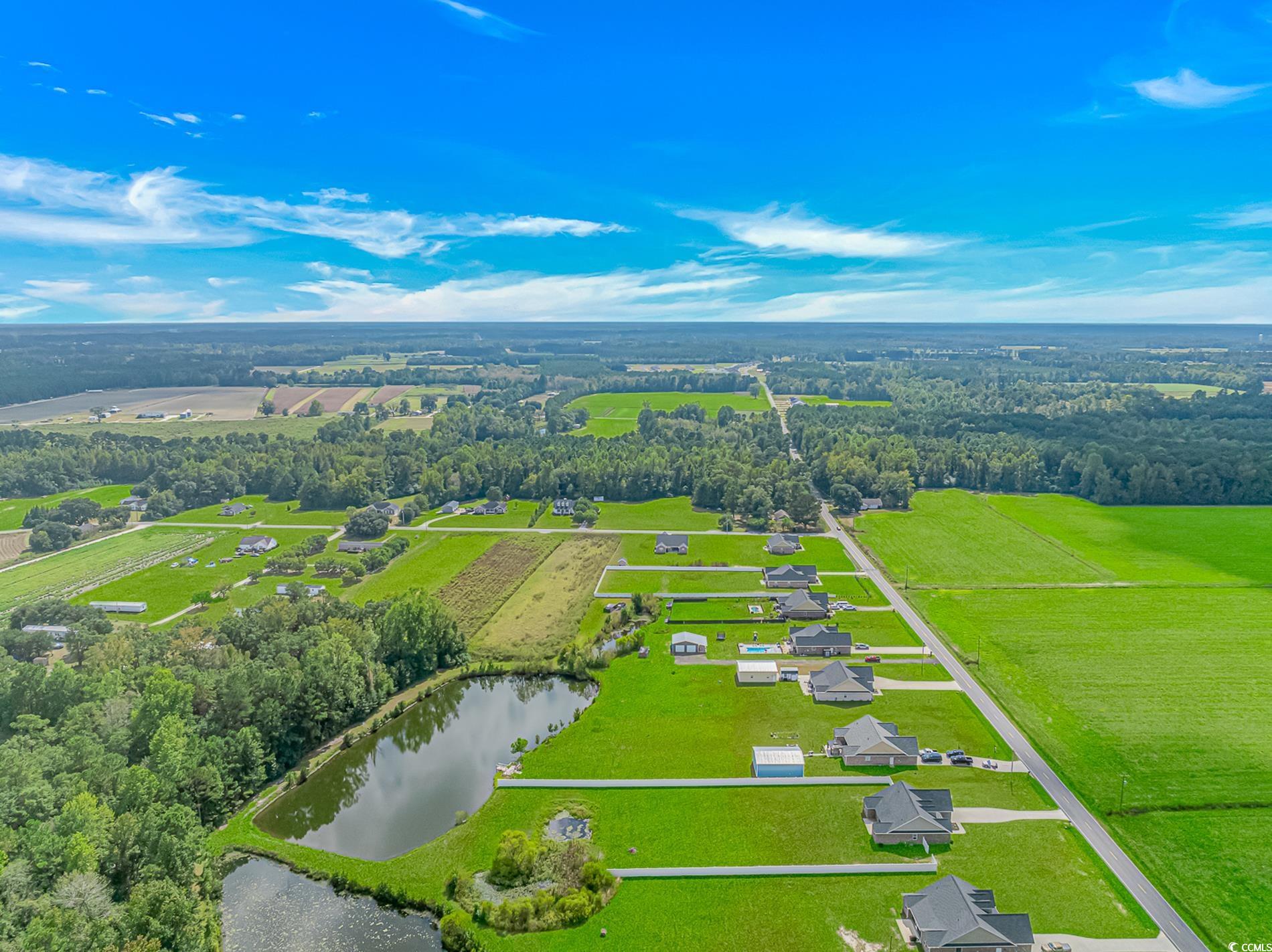 4082 Edwards Road Aynor, SC 29511 - Photo 40 of 40 Aerial view of a large body of water and a tree filled landscape