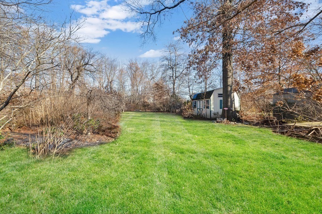 25 Daviston Street Springfield, MA 01108 - Photo 3 of 42 a view of a backyard with a garden