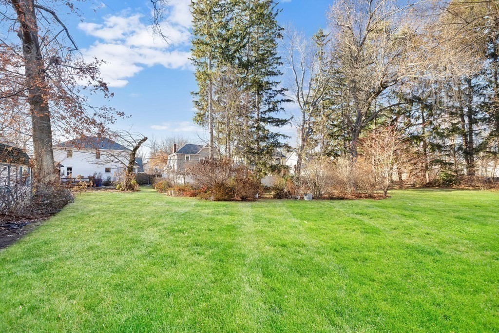 25 Daviston Street Springfield, MA 01108 - Photo 42 of 42 a view of a field of grass and trees
