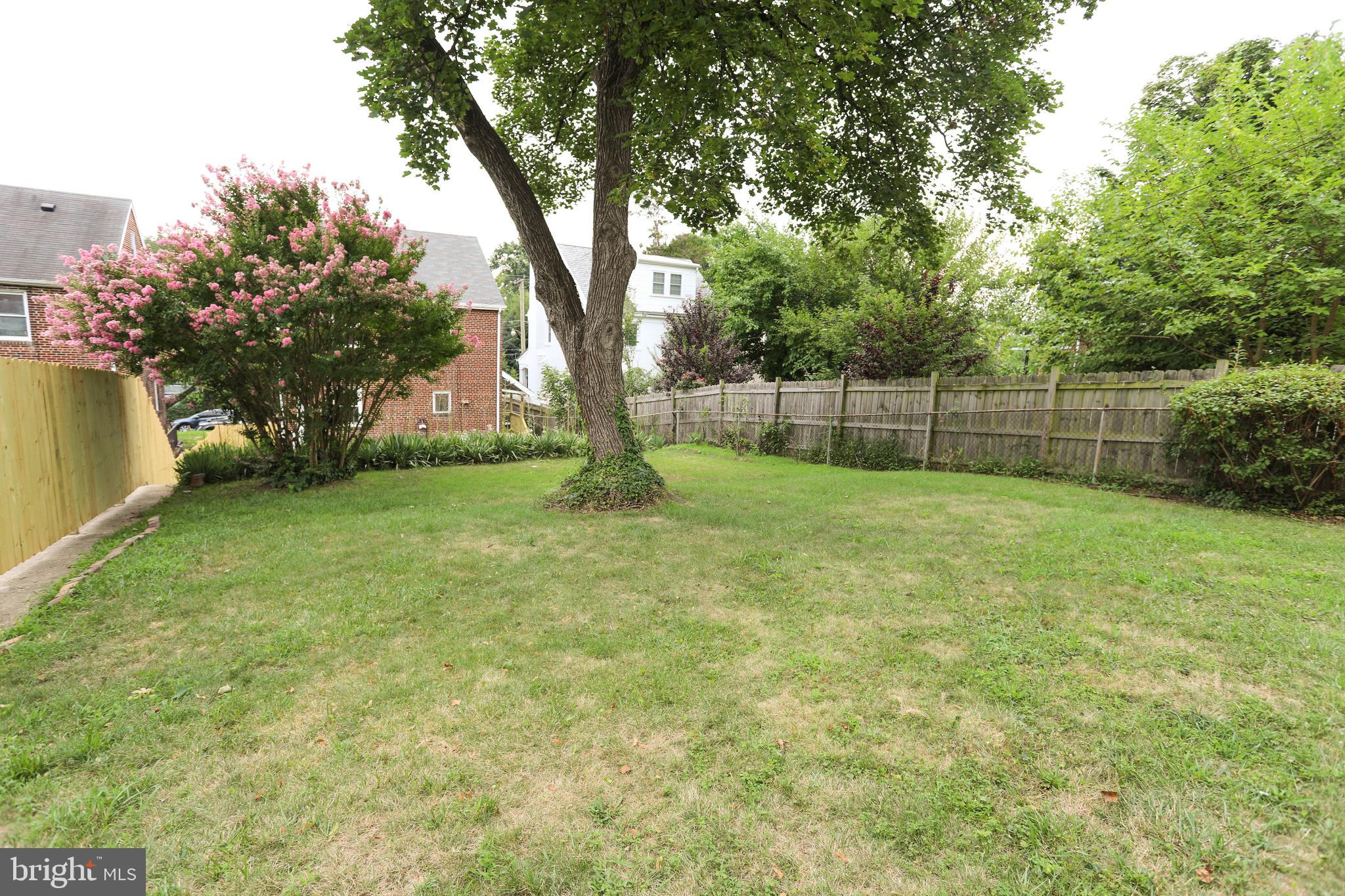 423 Rittenhouse Street Northwest Washington, DC 20011 - Photo 33 of 34 Back yard