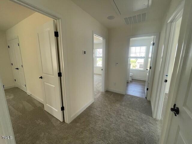 1192 Channel Drop Loop Zebulon, NC 27597 - Photo 8 of 10 8