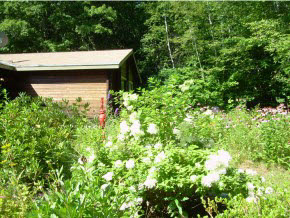 316 North Road Shelburne, NH 03581 - Photo 14 of 21