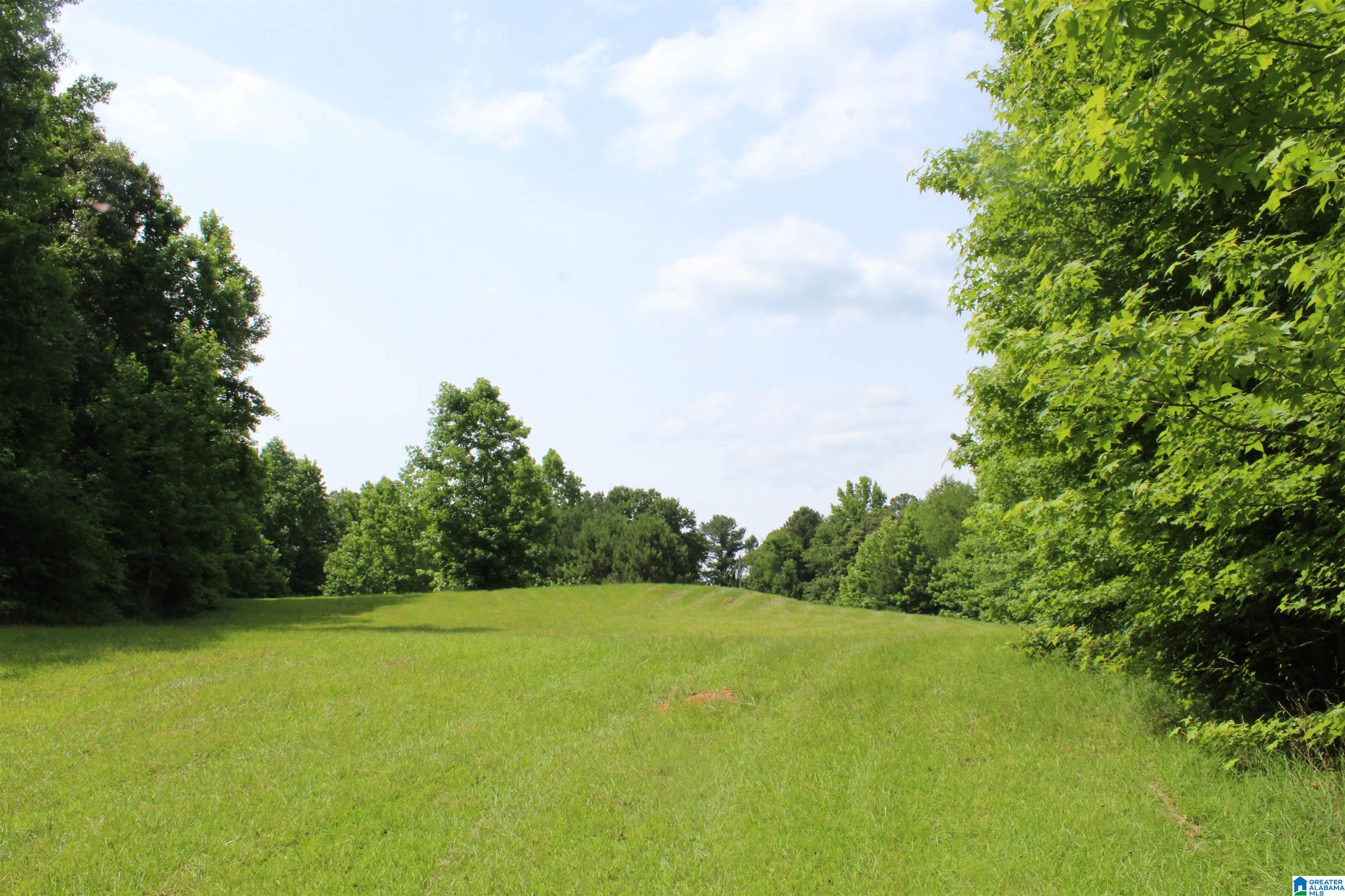 1530 Red Hill School Road Empire, AL 35063 - Photo 47 of 48