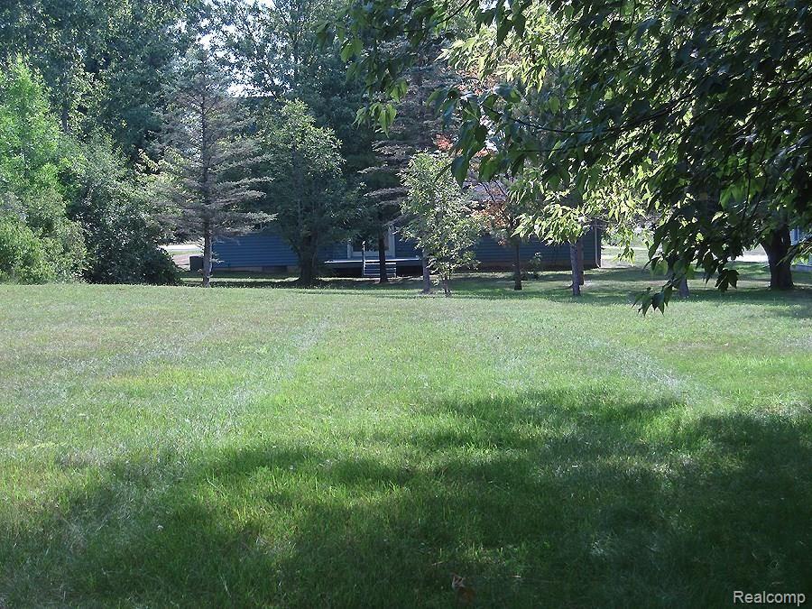 9296 Gale Road Goodrich, MI 48438 - Photo 24 of 31 From rear yard looking east.jpg