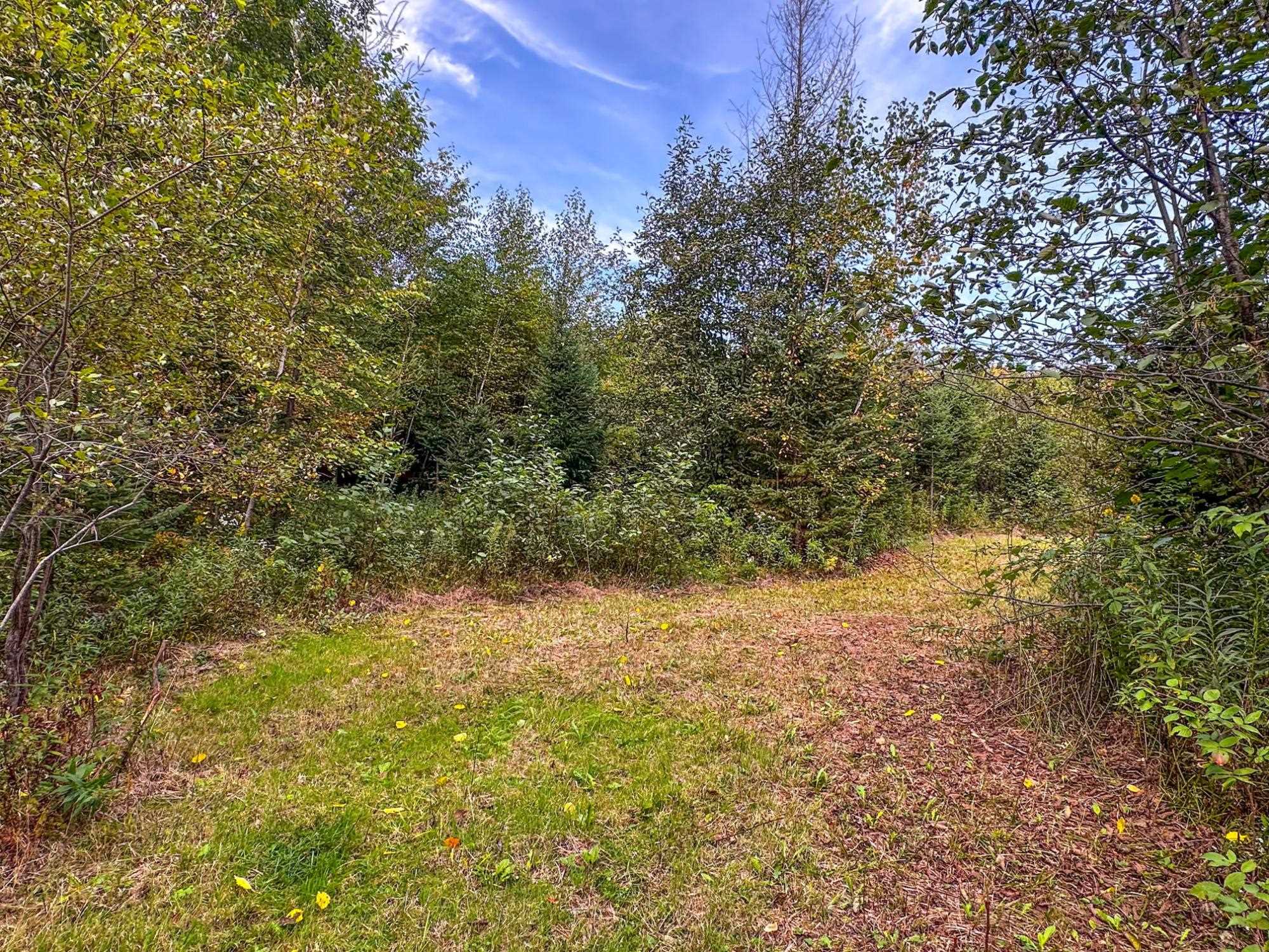 72281 Hennes Road Glidden, WI 54527 - Photo 35 of 50