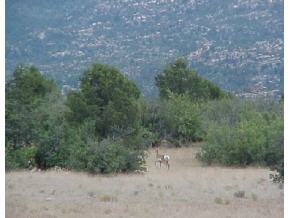 8 Friendly Meadow Road Prescott, AZ 86303 - Photo 2 of 2 Additional Photo