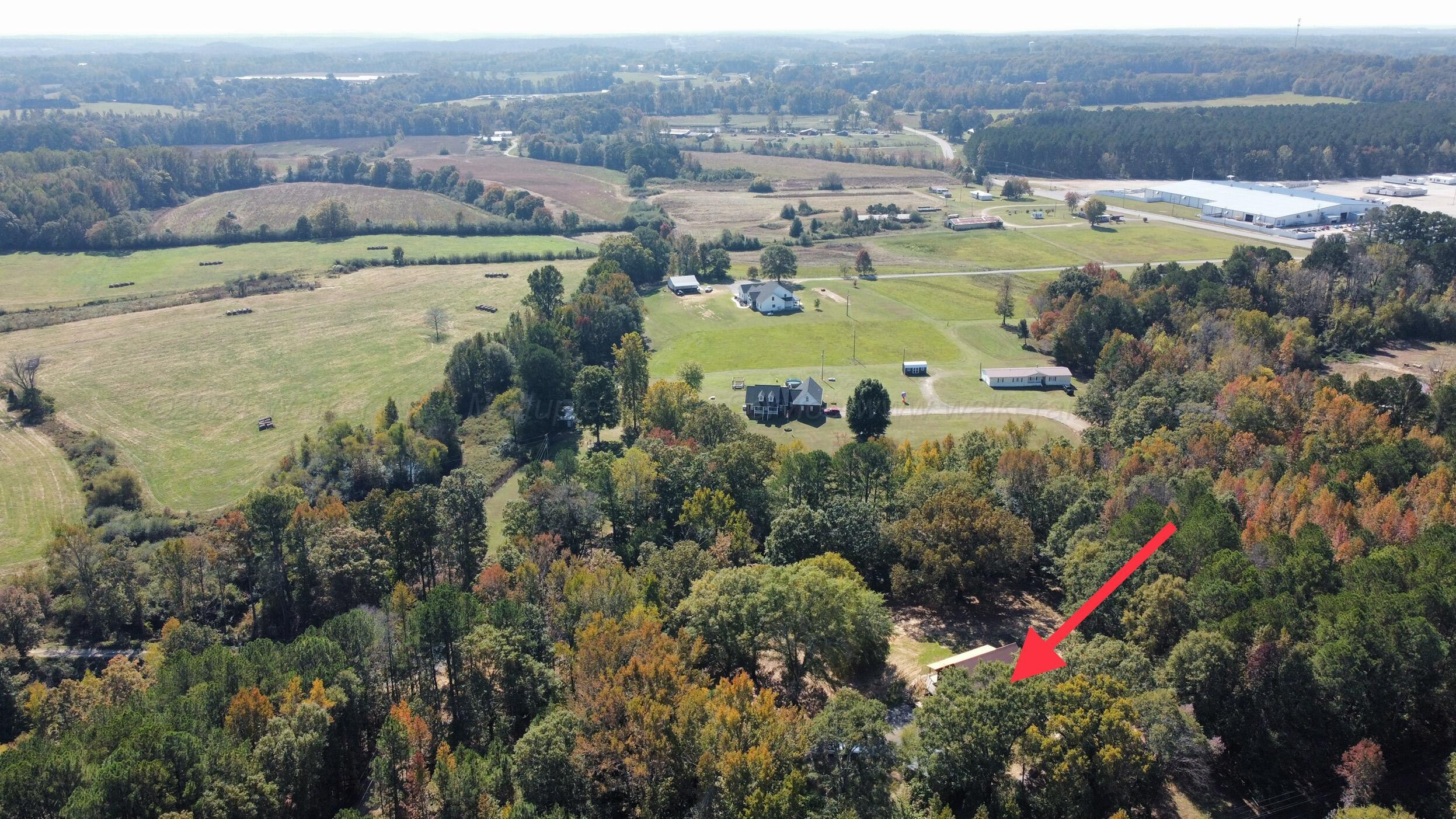 291 County Road 43 Addison, AL 35540 - Photo 48 of 50 Gallery Image 48