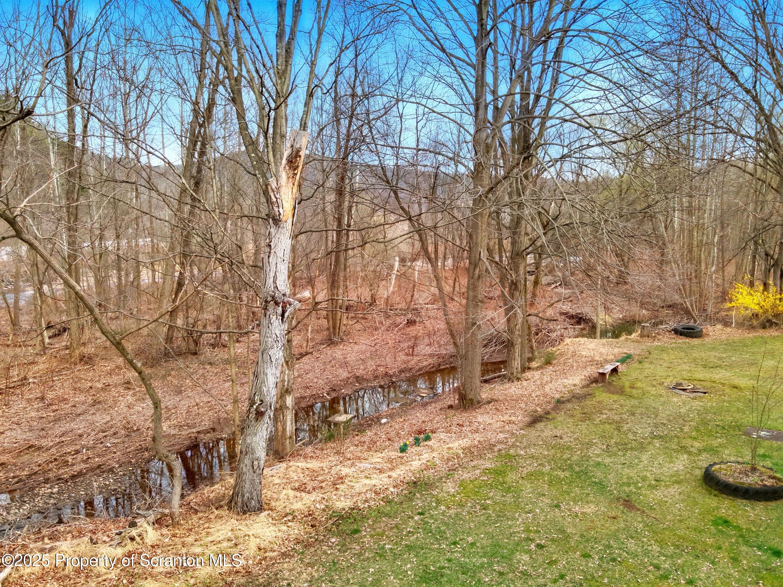 110 Bluegrass Road Tunkhannock, PA 18657 - Photo 5 of 17 a view of a yard with large trees