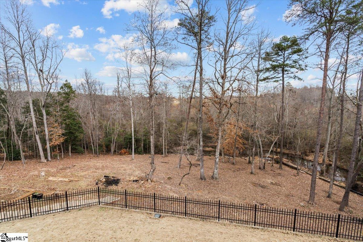 225 Josh Court Greer, SC 29651 - Photo 20 of 34