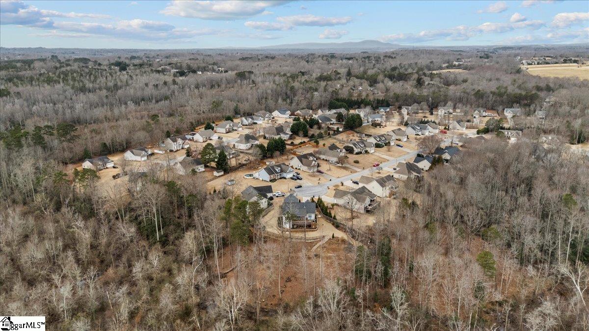 225 Josh Court Greer, SC 29651 - Photo 32 of 34