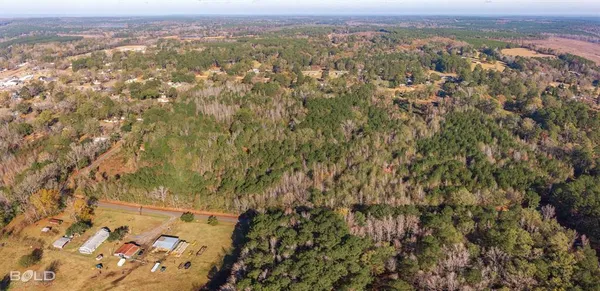 $44,945 | Lot 1 East Palmetto Avenue, Plain Dealing, LA 71064