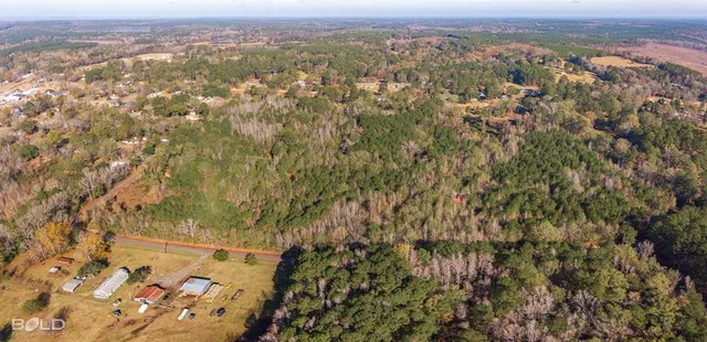 $44,945 | Lot 1 East Palmetto Avenue, Plain Dealing, LA 71064