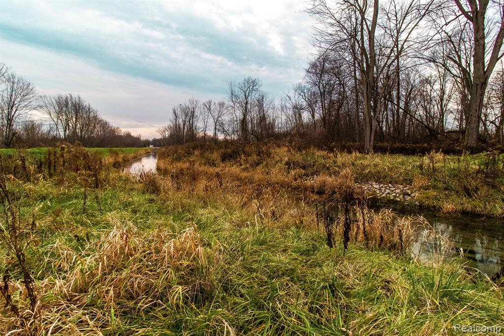 6152 Old State Road North Branch, MI 48461 - Photo 10 of 32 Gallery Image 10