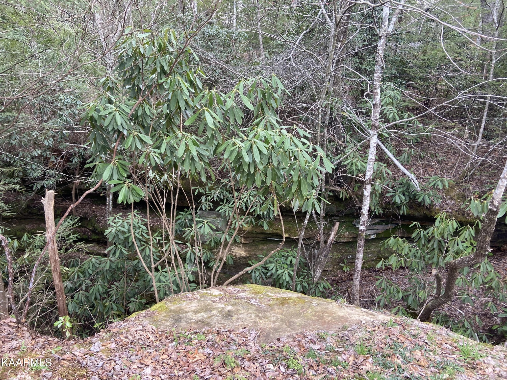 0 Bea Lee Road Jamestown, TN 38556 - Photo 5 of 7