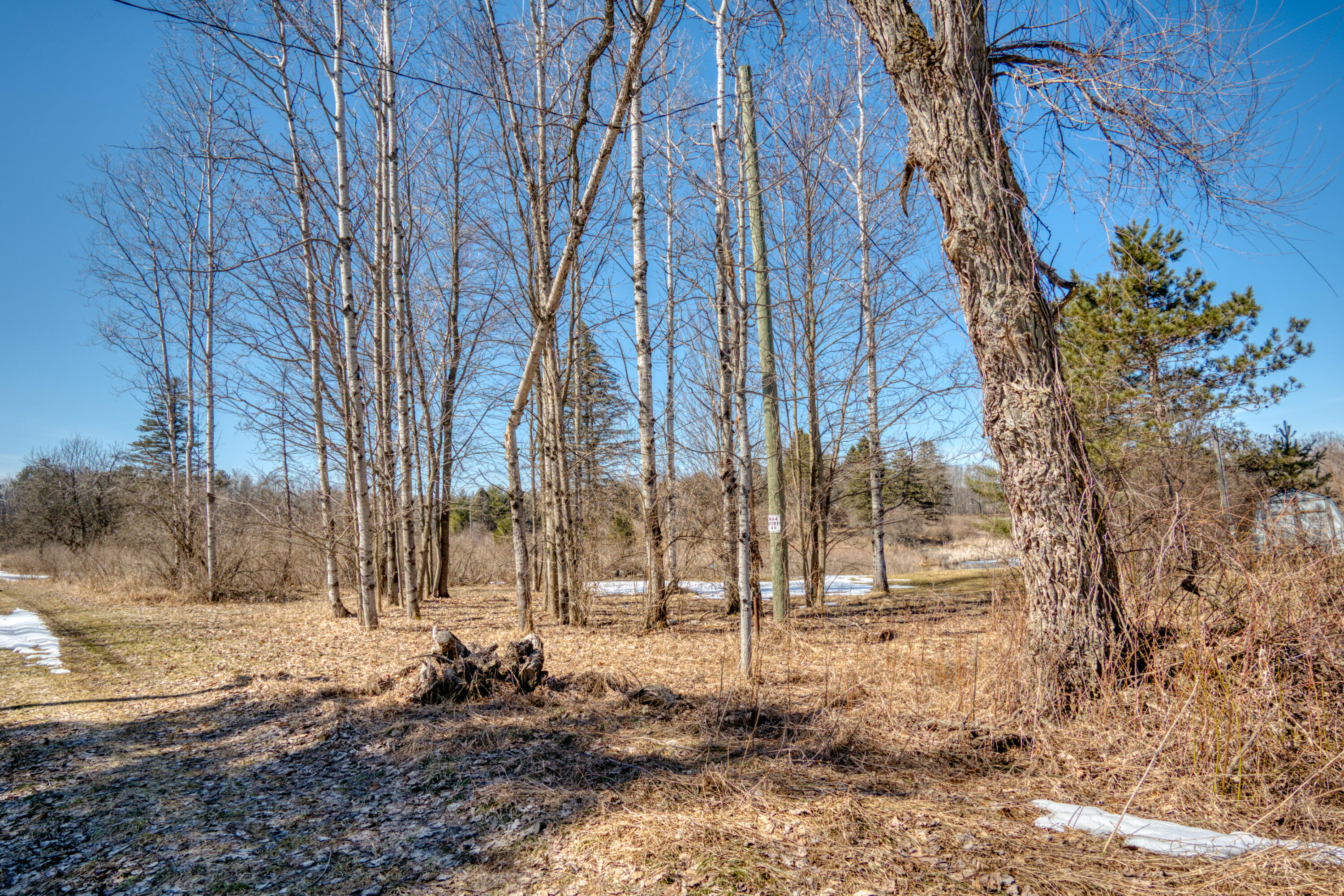 6114 Lake Road Barryton, MI 49305 - Photo 5 of 11 DSC06961_3