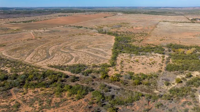 a view of a dry yard with wooden fence