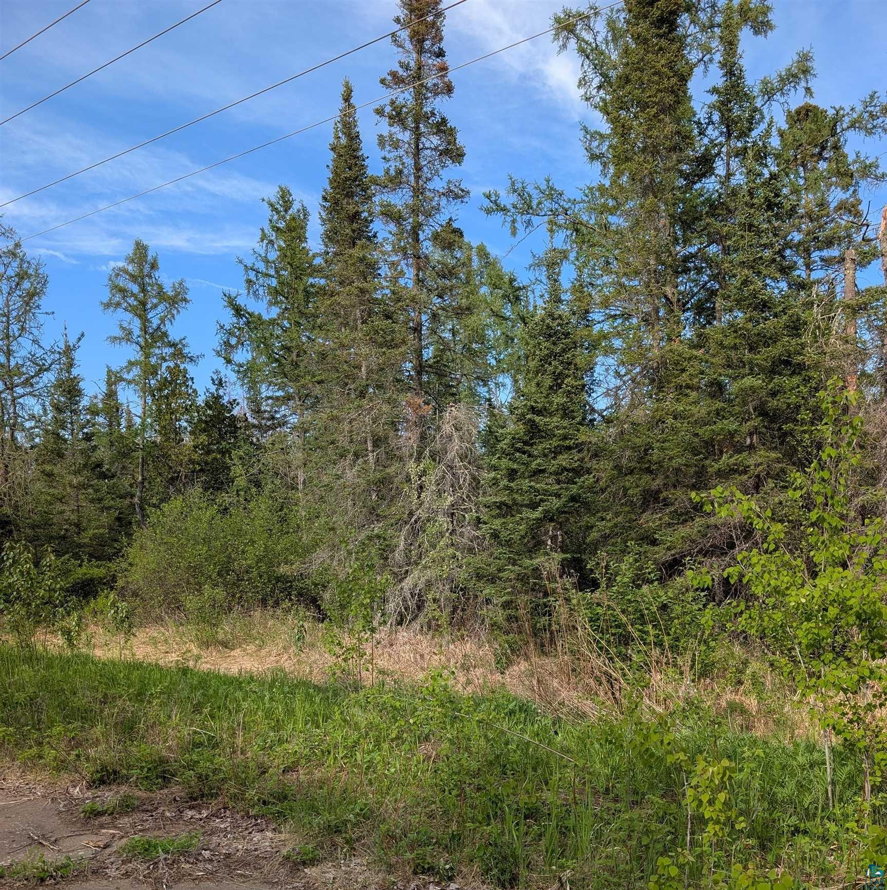 Xxxx Rice Lake Road Duluth, MN 55803 - Photo 2 of 5