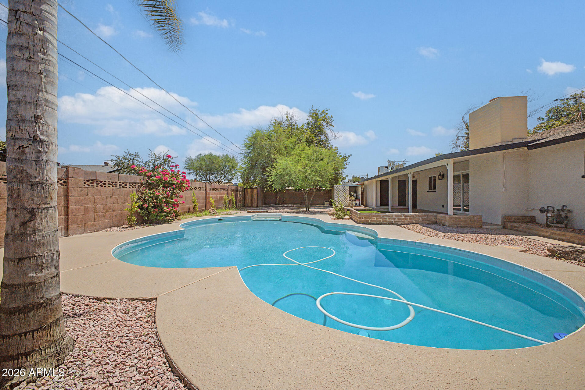 1538 West Ocotillo Road Phoenix, AZ 85015 - Photo 39 of 46 Backyard