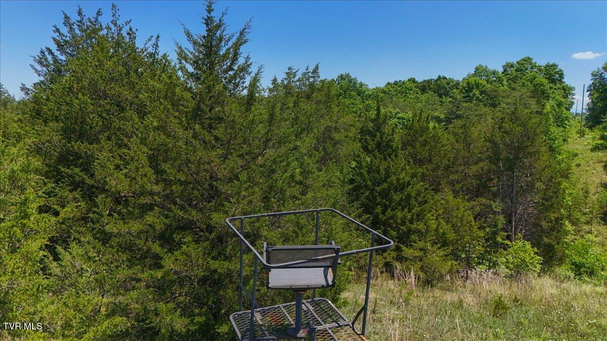 5441 Fred Marshall Road Russellville, TN 37860 - Photo 15 of 20 12-DJI_20260604133437_0922_D