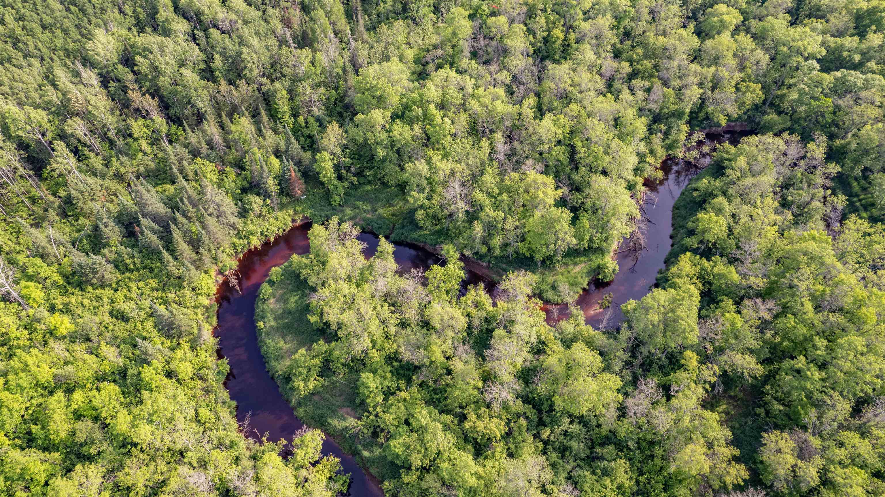 Aerial overview of property's location with a heavily wooded area