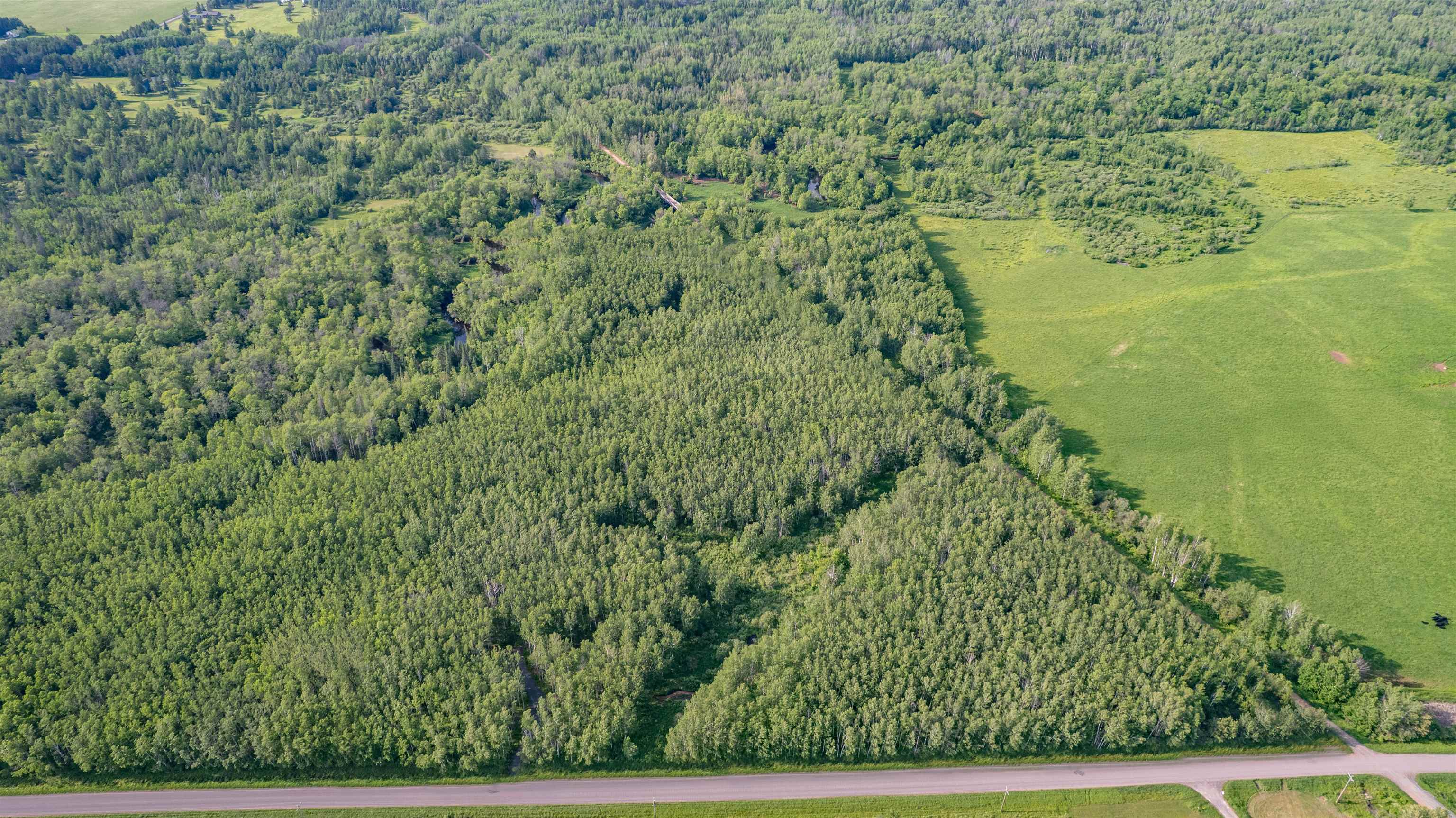 Xxxx East Mikrot Road South Range, WI 54874 - Photo 11 of 18 View of property location with a forest
