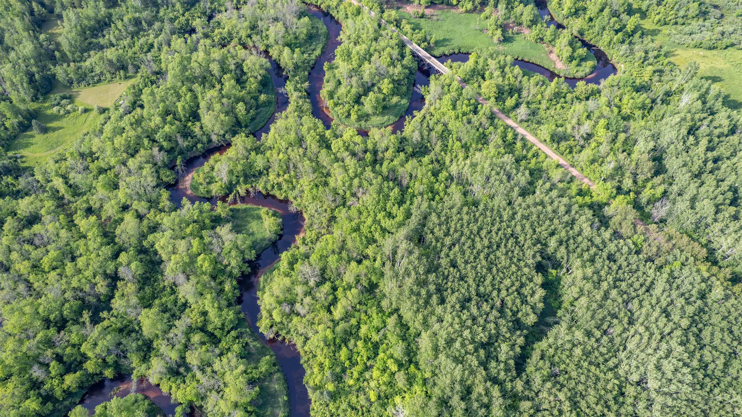 Aerial overview of property's location with a heavily wooded area