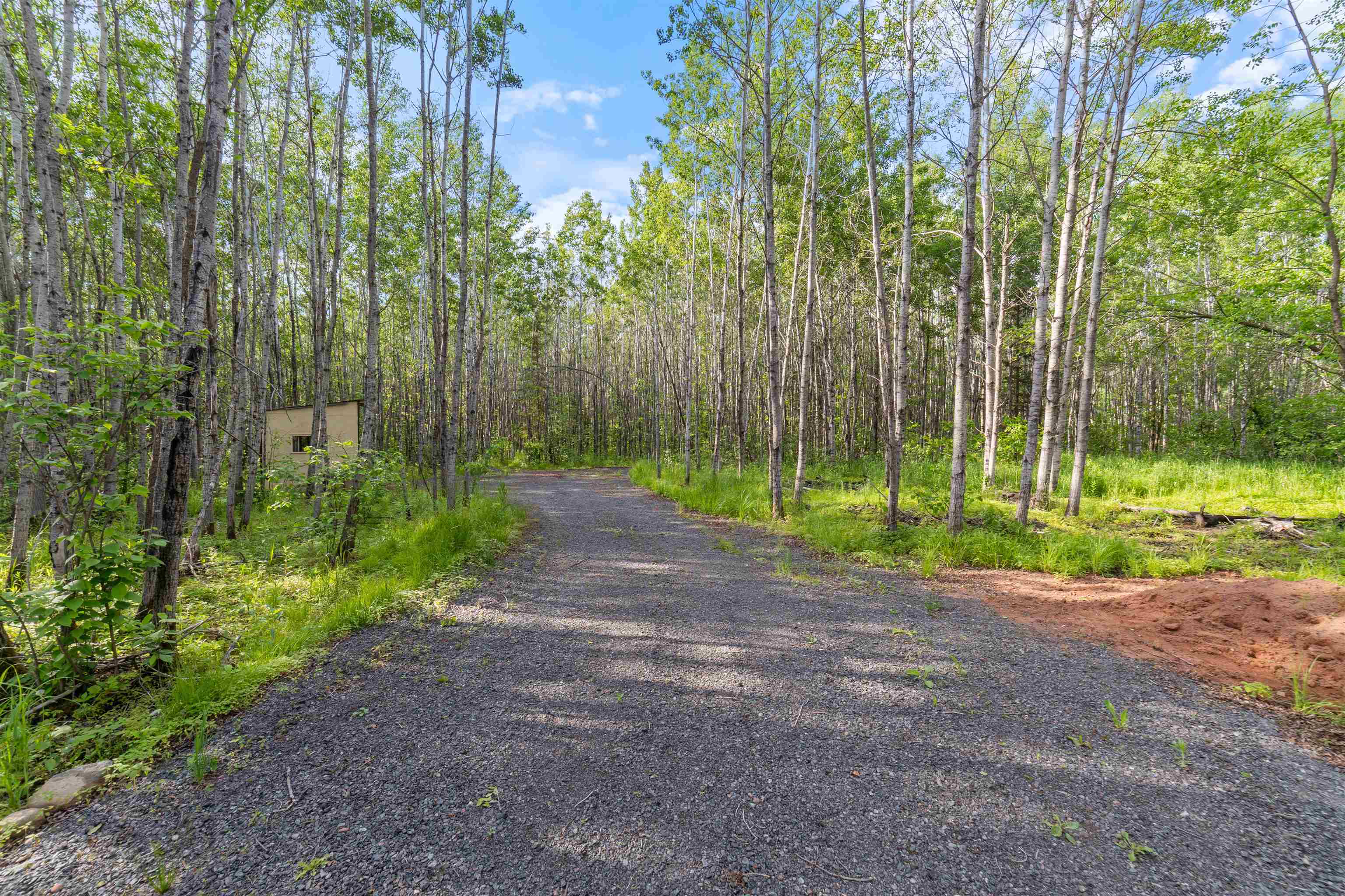 View of road featuring a view of trees