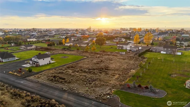 a view of a swimming pool with a lot of trees in the background