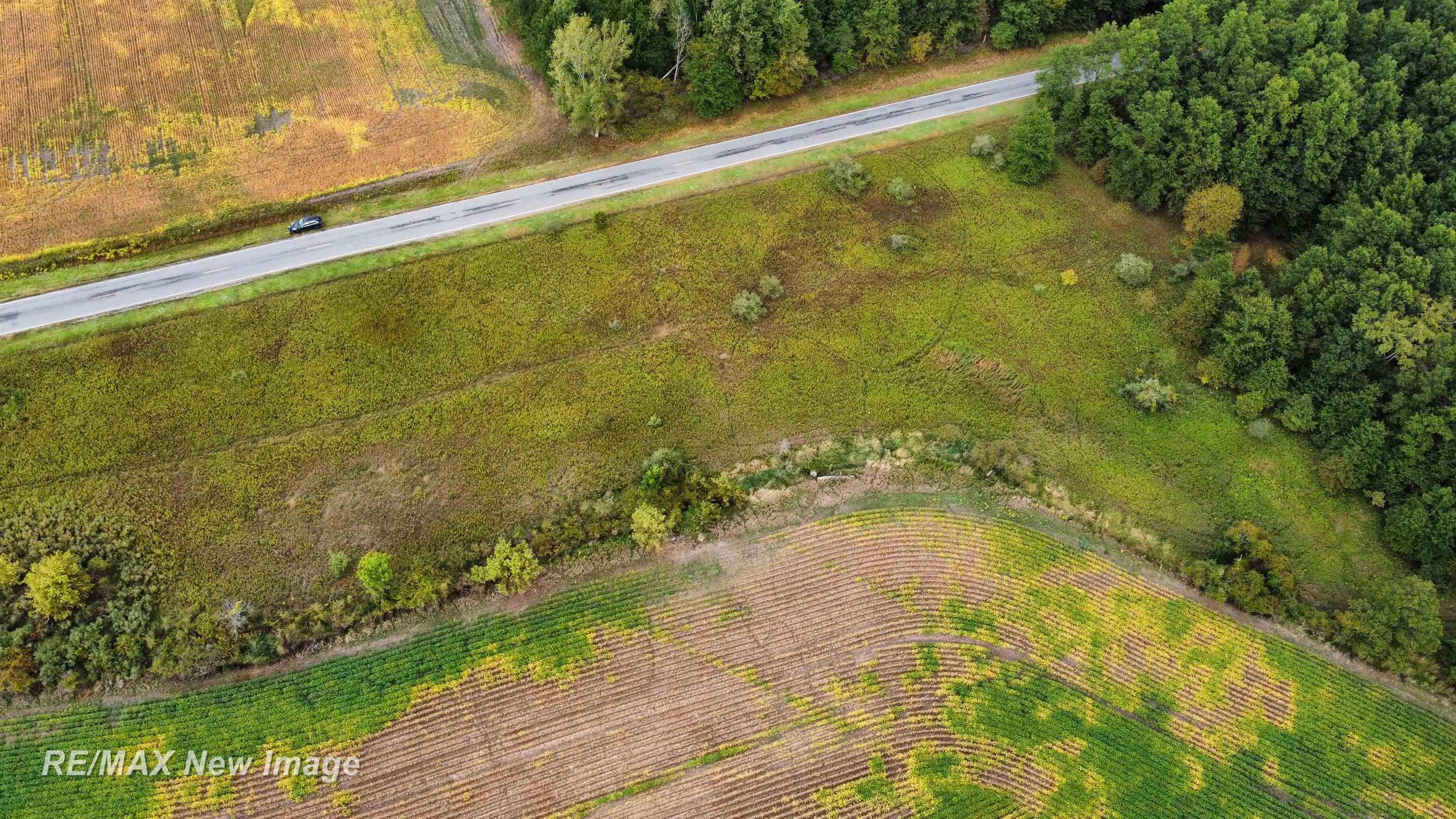 Ithaca Road St. Charles, MI 48655 - Photo 10 of 21