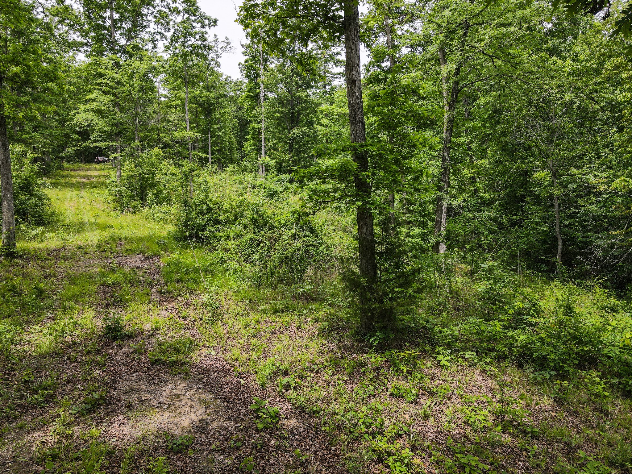 1855 Shiloh Church Road Camden, TN 38320 - Photo 11 of 81