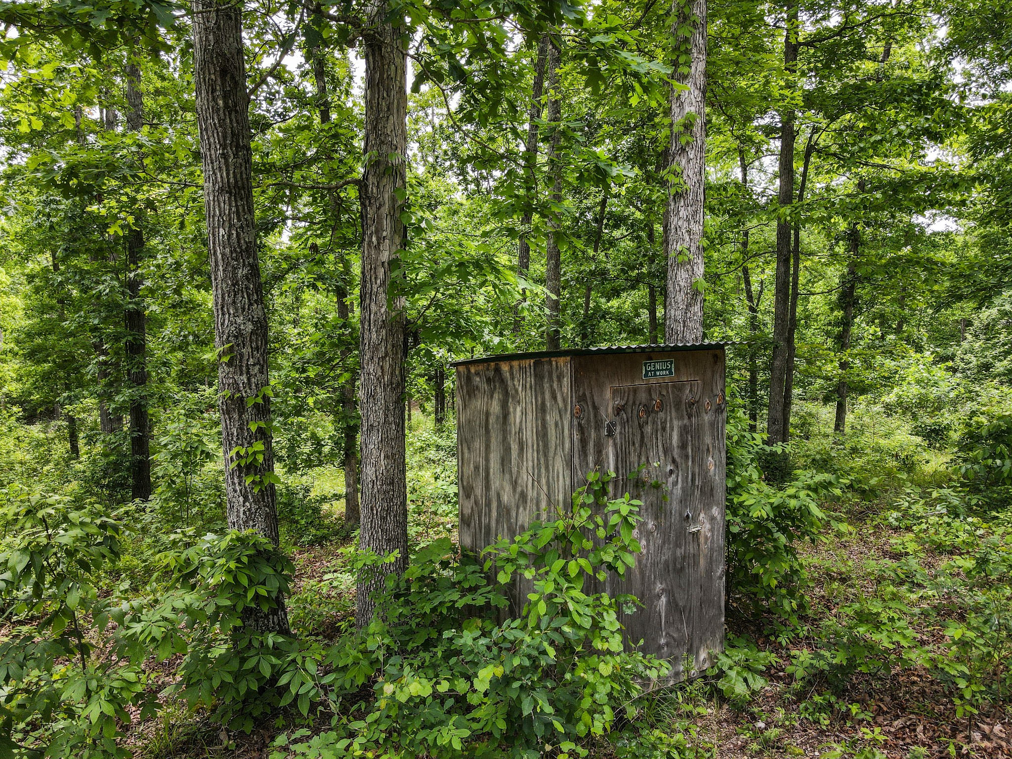 1855 Shiloh Church Road Camden, TN 38320 - Photo 14 of 81 a view of garden