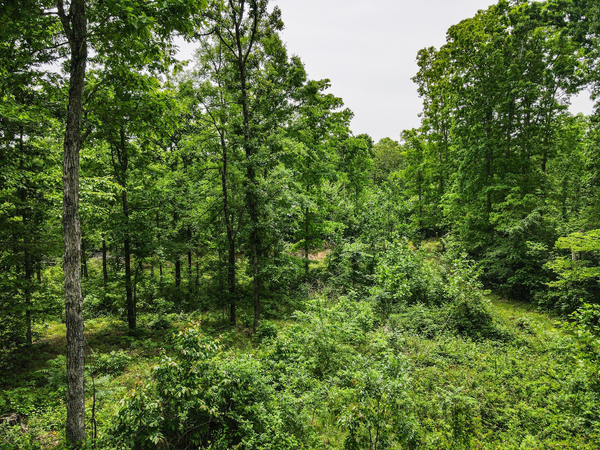 1855 Shiloh Church Road Camden, TN 38320 - Photo 15 of 81