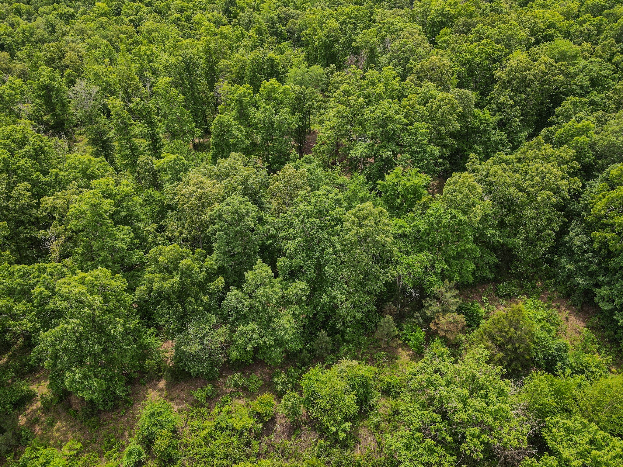 1855 Shiloh Church Road Camden, TN 38320 - Photo 18 of 81