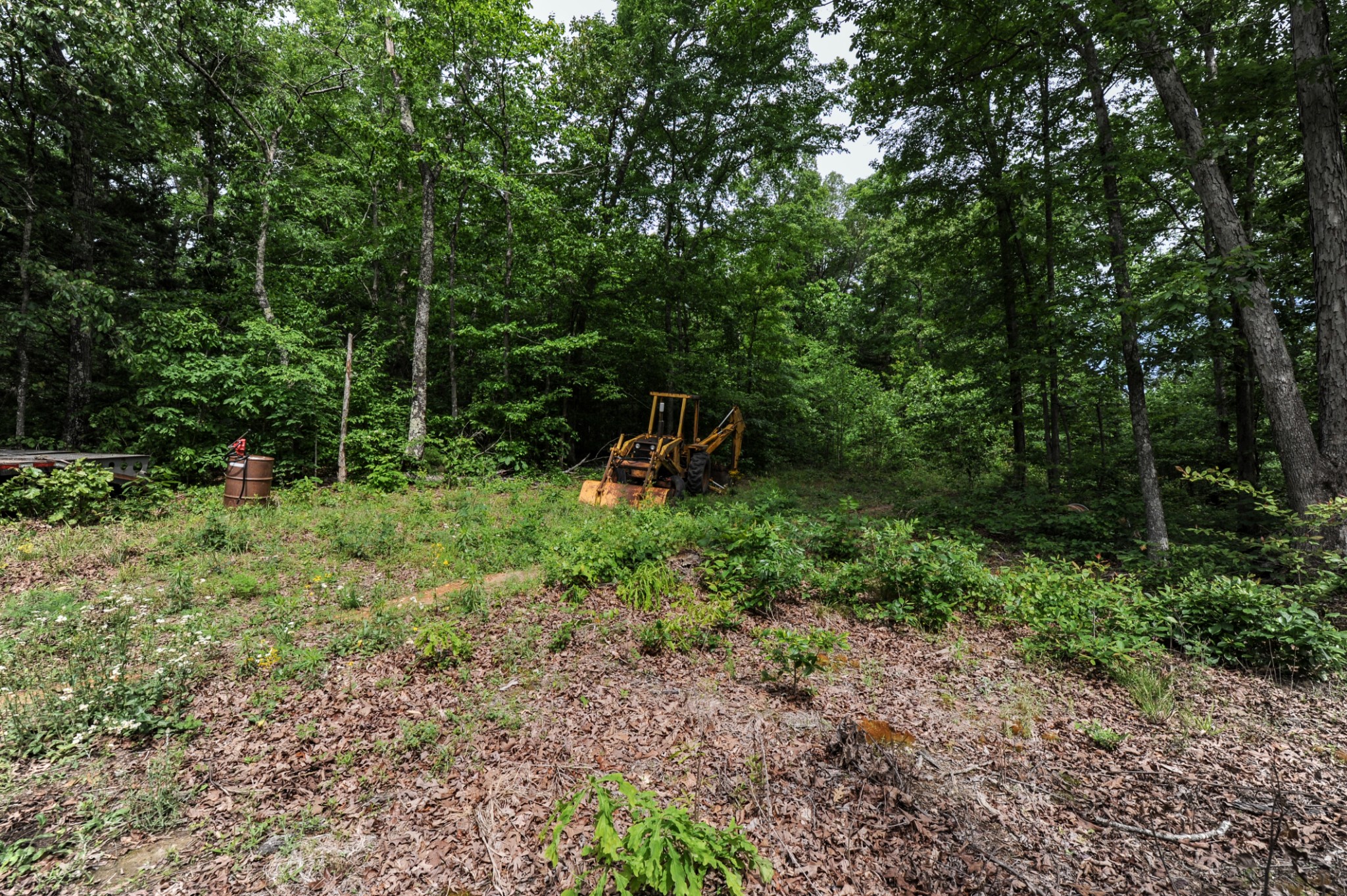 1855 Shiloh Church Road Camden, TN 38320 - Photo 20 of 81